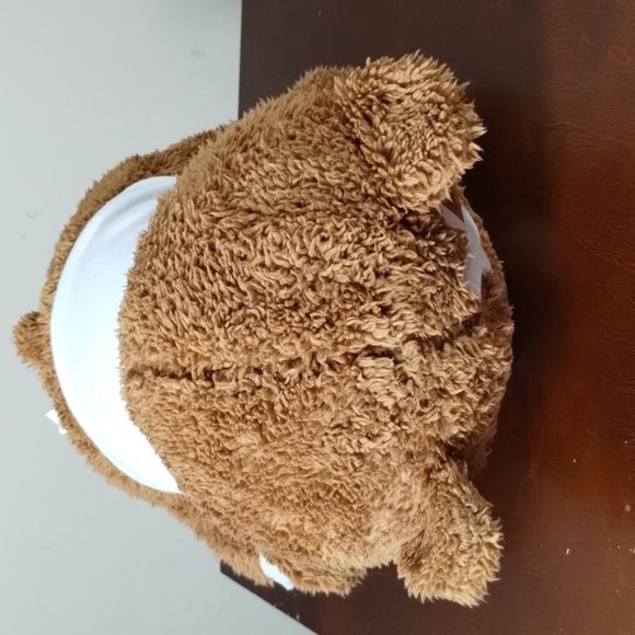 ✓PREXTEX 12-Inch Get Well Soon Plush Bear - Soft Stuffed Teddy Bear. - Picture 10 of 14